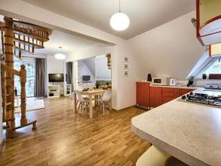 Апартаменты VisitZakopane - Hill Apartment Закопане Апартаменты - Двухуровневые-1