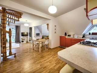 Апартаменты VisitZakopane - Hill Apartment Закопане Апартаменты - Двухуровневые-19